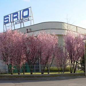 stabilimento-1